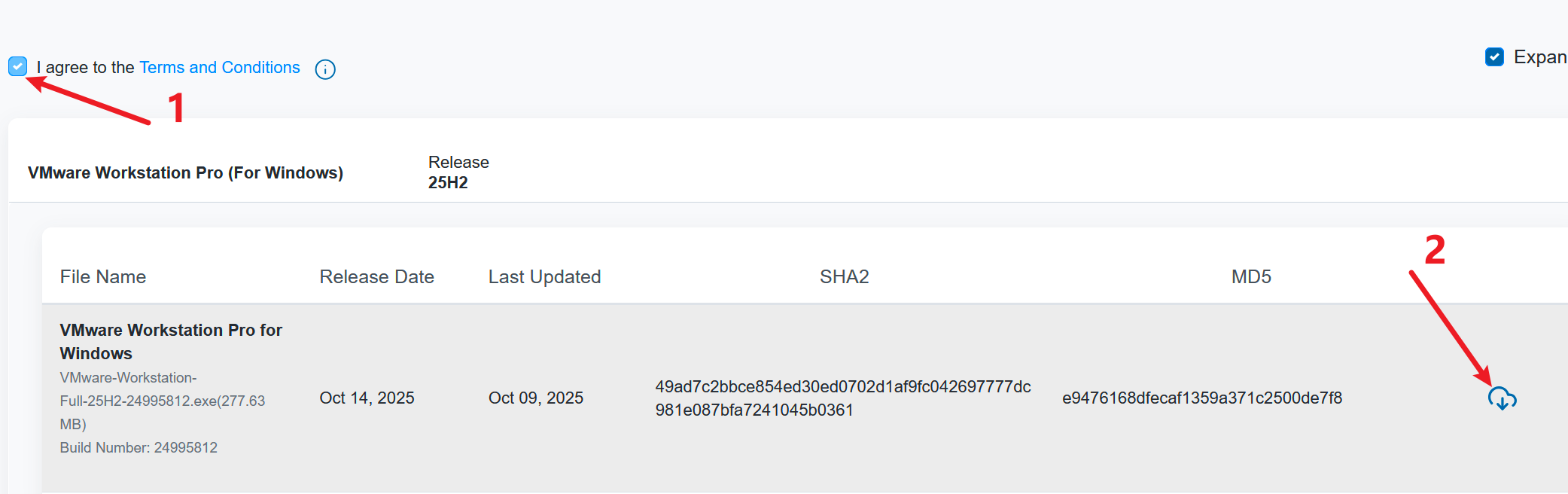 image-20251108080420697